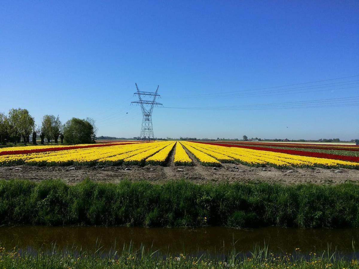 Tinyhouse Natuurhuisje Met Veranda Bij De Molen Tussen Alkmaar En Hoorn Oterleek Eksteriør billede